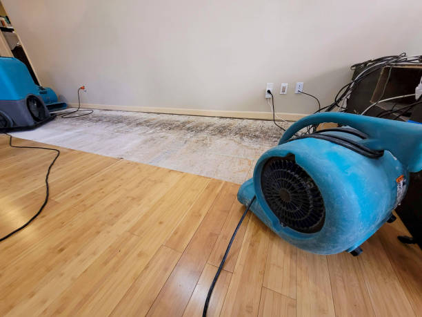 Professional Water Removal technician working in New Concord, OH